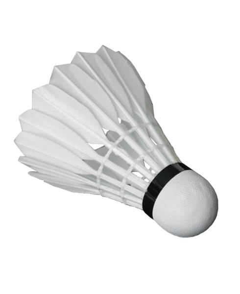  Badminton 