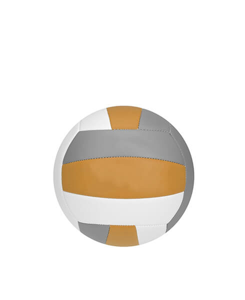  Pallavolo 