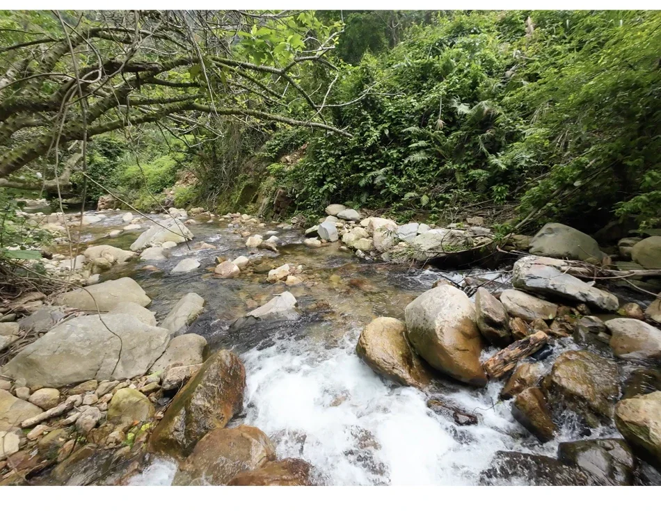 CERASTES Action Camera 5K 4K 60FPS WiFi Anti-shake Dual Screen 170° Wide Angle 30m Waterproof Sport Camera with Remote Control CERASTES Action Camera 5K 4K 60FPS WiFi Anti-shake Dual Screen 170° Wide Angle 30m Waterproof Sport Camera with Remote Control