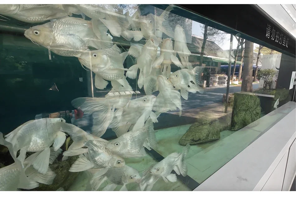 CERASTES Action Camera 5K 4K 60FPS WiFi Anti-shake Dual Screen 170° Wide Angle 30m Waterproof Sport Camera with Remote Control CERASTES Action Camera 5K 4K 60FPS WiFi Anti-shake Dual Screen 170° Wide Angle 30m Waterproof Sport Camera with Remote Control