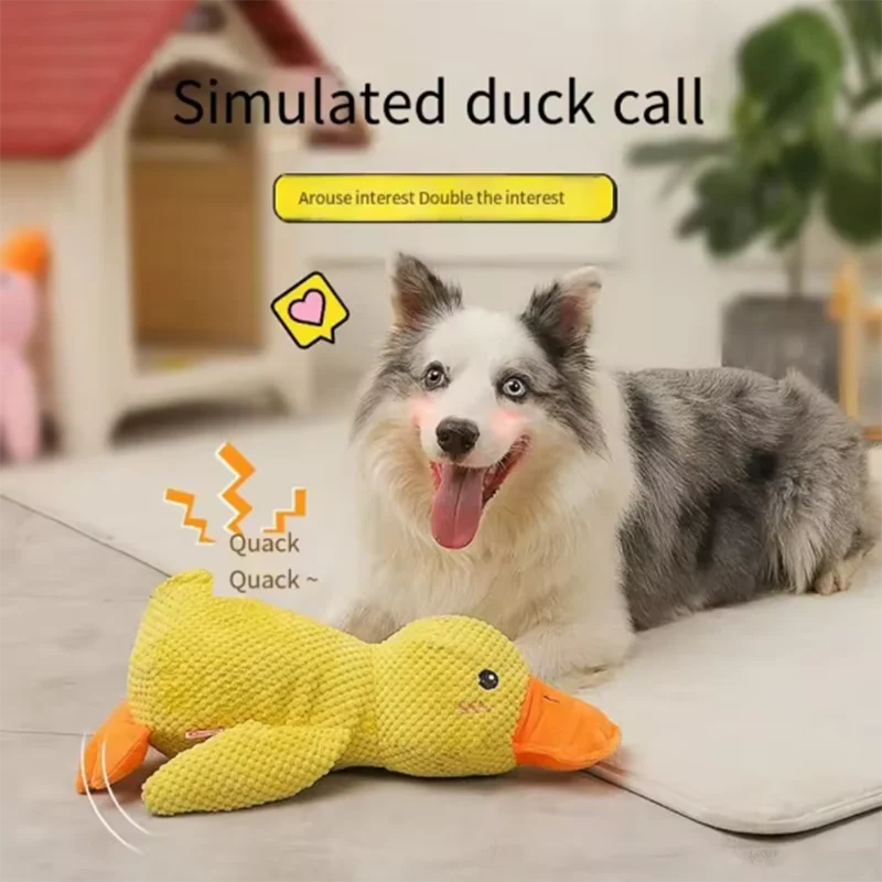 Duck dog toy plush chew resistant durable dog toy with quacking sound teeth grinding relief soft companion for small large dog Duck dog toy plush chew resistant durable dog toy with quacking sound teeth grinding relief soft companion for small large dog