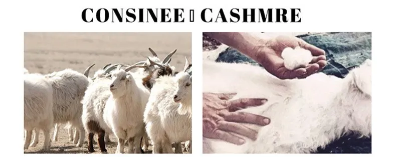 100% Pure Cashmere Wool Turtleneck Sweaters For Men Pullover 2023 Autumn Winter Soft lightweight Warm Knitted Sweater Pull Homme