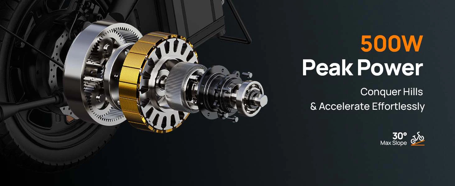 Urlife E-Bike 14 pollici pieghevole 500W 48V 7,5Ah rimovibile e ricarica rapida 40 miglia sospensione anteriore idraulica freni a doppio disco Naviga