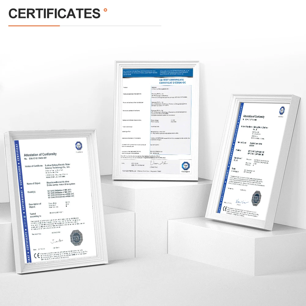 [EU Direct] Kit di conversione bici elettrica BAFANG Mid Drive Motor 1000W 750W 500W 250W 350W BBSHD BBS02B BBS01B M615 M325 M215 con batteria Hailong da 52V 48V 20Ah 16Ah 13Ah per tubo obliquo da 68-73mm 100mm 120mm