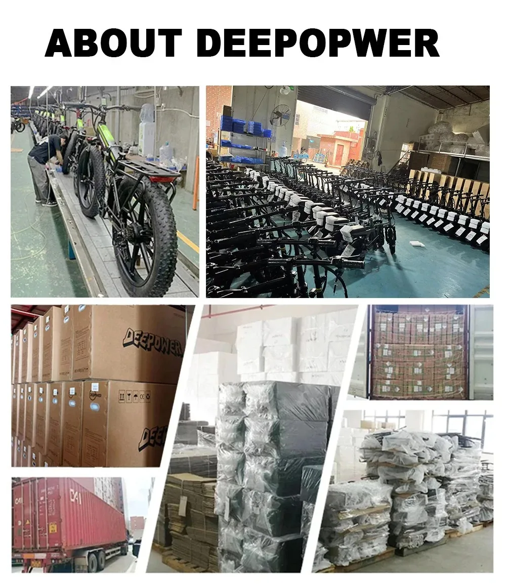 DEEPOWER F26 Bici Elettrica 750W 48V 10AH Batteria Fuoristrada Adulti Pendolarismo Ebike Velocità Massima 35KM/H Motocicletta All-Terrain Ebike