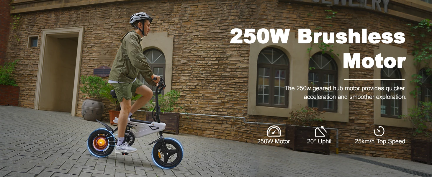 Bicicletta Elettrica E-bike con Ruote da 14 Pollici (Piccole), Batteria 36V 6.4Ah, Display LCD Digitale, Motore 250W e Velocità Fino a 25 km/h