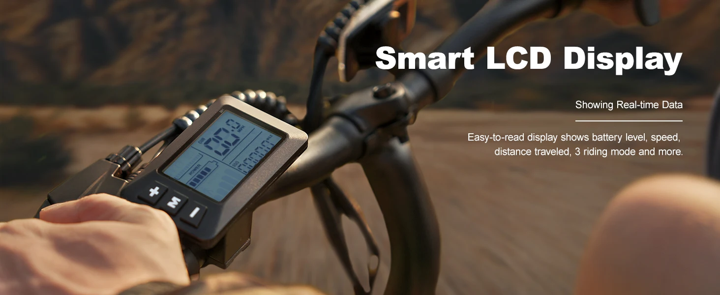 Bicicletta Elettrica E-bike con Ruote da 14 Pollici (Piccole), Batteria 36V 6.4Ah, Display LCD Digitale, Motore 250W e Velocità Fino a 25 km/h