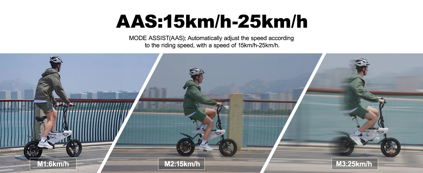 Bicicletta Elettrica E-bike con Ruote da 14 Pollici (Piccole), Batteria 36V 6.4Ah, Display LCD Digitale, Motore 250W e Velocità Fino a 25 km/h