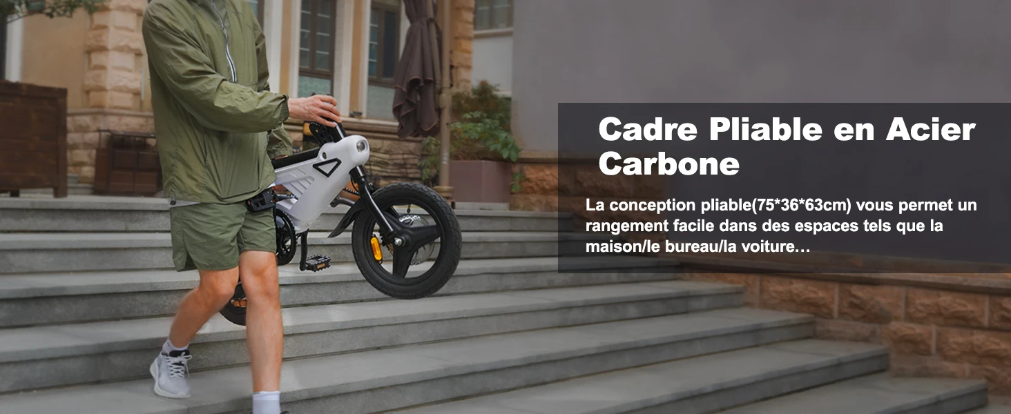 Bicicletta Elettrica E-bike con Ruote da 14 Pollici (Piccole), Batteria 36V 6.4Ah, Display LCD Digitale, Motore 250W e Velocità Fino a 25 km/h