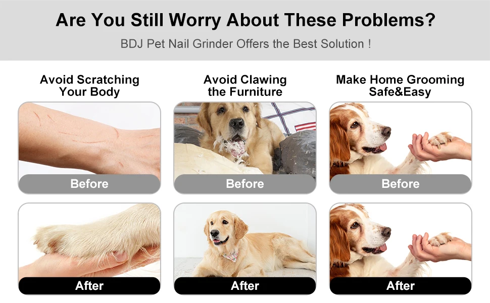 Smerigliatrice per unghie per cani Tagliacapelli e tagliacapelli elettrico ricaricabile USB per animali domestici Zampe indolori Toelettatura Lima per unghie per cani silenziosa a 2 velocità Smerigliatrice per unghie per cani Tagliacapelli e tagliacapelli elettrico ricaricabile USB per animali domestici Zampe indolori Toelettatura Lima per unghie per cani silenziosa a 2 velocità