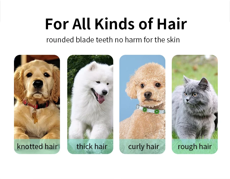 Ospedale per toelettatura animali domestici per cani e gatti, cesoia elettrica a basso rumore, rasatura elettrica impermeabile, professionale senza fili