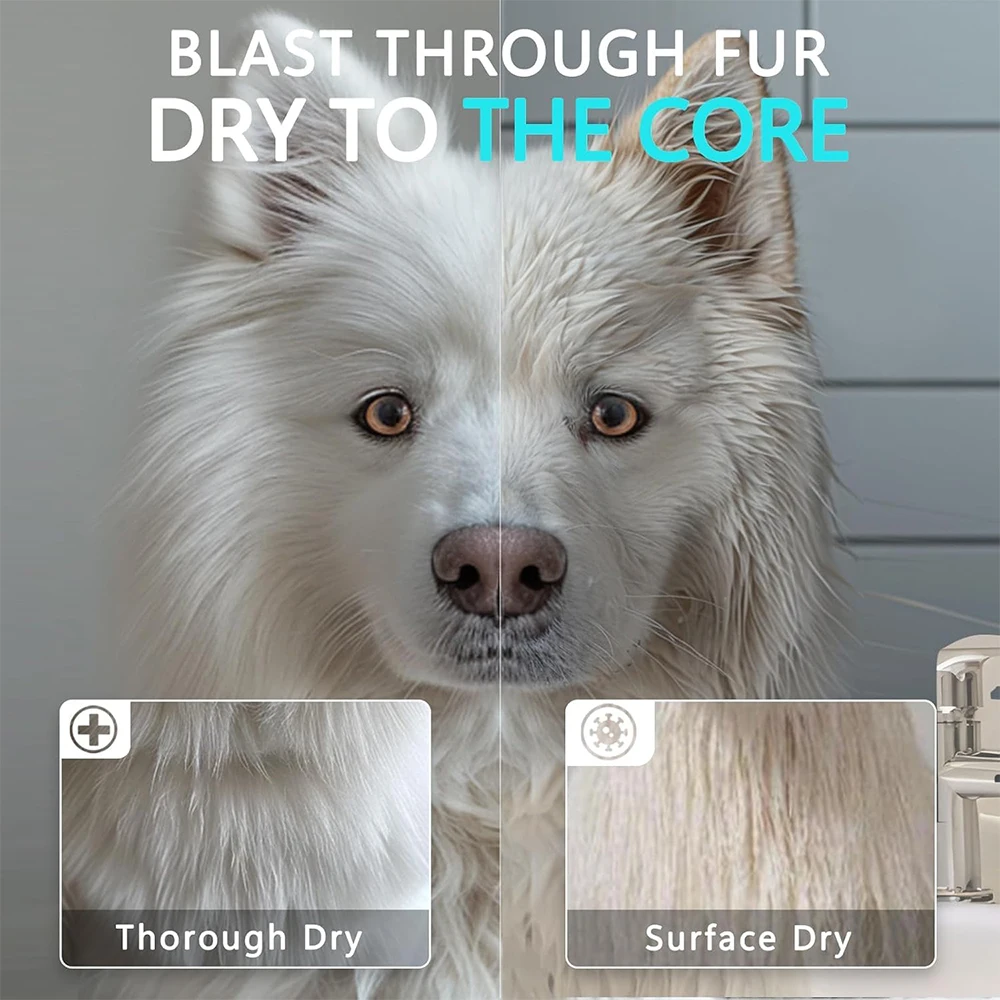 Podofo 3800W Asciugacapelli per cani Toelettatura per animali domestici Ventilatore Vento caldo Secador Asciugatrice veloce silenziosa per animali domestici Asciugatrice con 4 ugelli 1 pettine