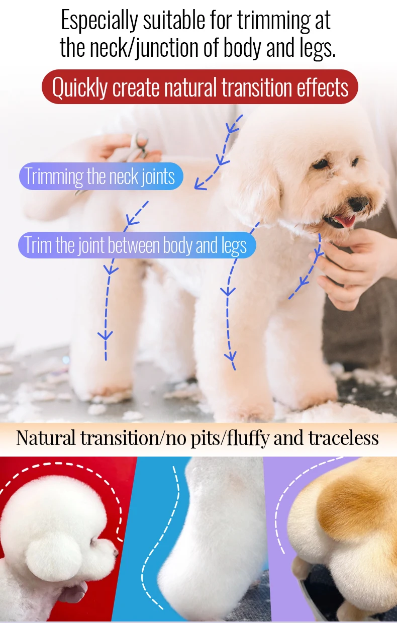 Fenice 7.0 pollici VG10 acciaio 3D gradiente denti senza tracce Pet curvo/dritto grosso forbici cuscinetto viti Pet Grooming cesoie Fenice 7.0 pollici VG10 acciaio 3D gradiente denti senza tracce Pet curvo/dritto grosso forbici cuscinetto viti Pet Grooming cesoie