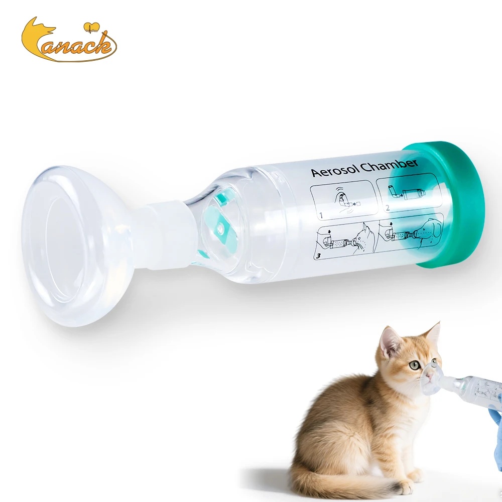 Distanziale inalatore portatile per cani da compagnia con camera aerosol per gatti con indicatore di respirazione Maschera in silicone per attrezzature veterinarie Clinica veterinaria