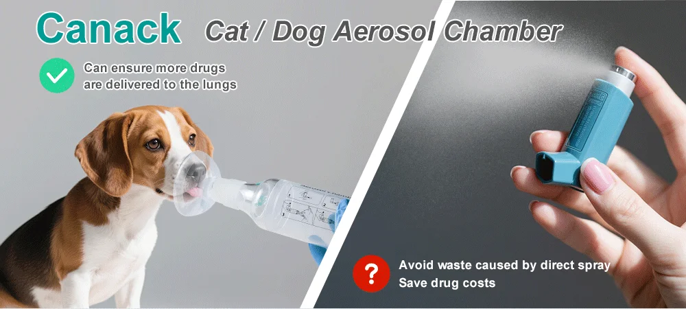 Distanziale inalatore portatile per cani da compagnia con camera aerosol per gatti con indicatore di respirazione Maschera in silicone per attrezzature veterinarie Clinica veterinaria