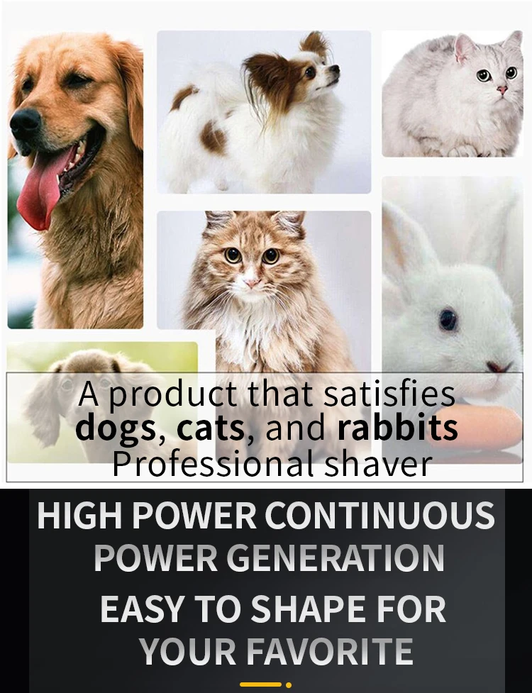 Tagliacapelli professionale per cani Tagliacapelli per animali domestici ricaricabile interamente in metallo Macchina da taglio per rasoio per gatti Taglio di capelli per toelettatura di cuccioli Basso rumore Tagliacapelli professionale per cani Tagliacapelli per animali domestici ricaricabile interamente in metallo Macchina da taglio per rasoio per gatti Taglio di capelli per toelettatura di cuccioli Basso rumore