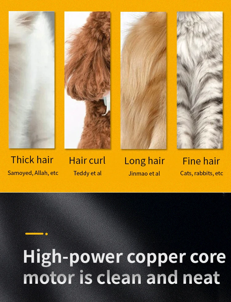 Tagliacapelli professionale per cani Tagliacapelli per animali domestici ricaricabile interamente in metallo Macchina da taglio per rasoio per gatti Taglio di capelli per toelettatura di cuccioli Basso rumore Tagliacapelli professionale per cani Tagliacapelli per animali domestici ricaricabile interamente in metallo Macchina da taglio per rasoio per gatti Taglio di capelli per toelettatura di cuccioli Basso rumore