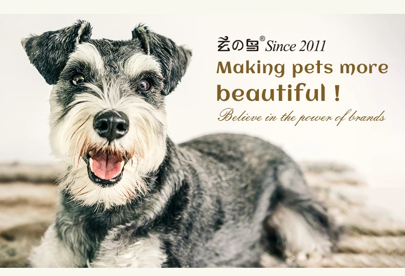 Fenice 6.5/7.0 pollici JP440C Oro rosa Toelettatura di cani da compagnia Forbici curve arrotinate/assicate Cesoie per sfoltire i denti senza traccia/a forma di V