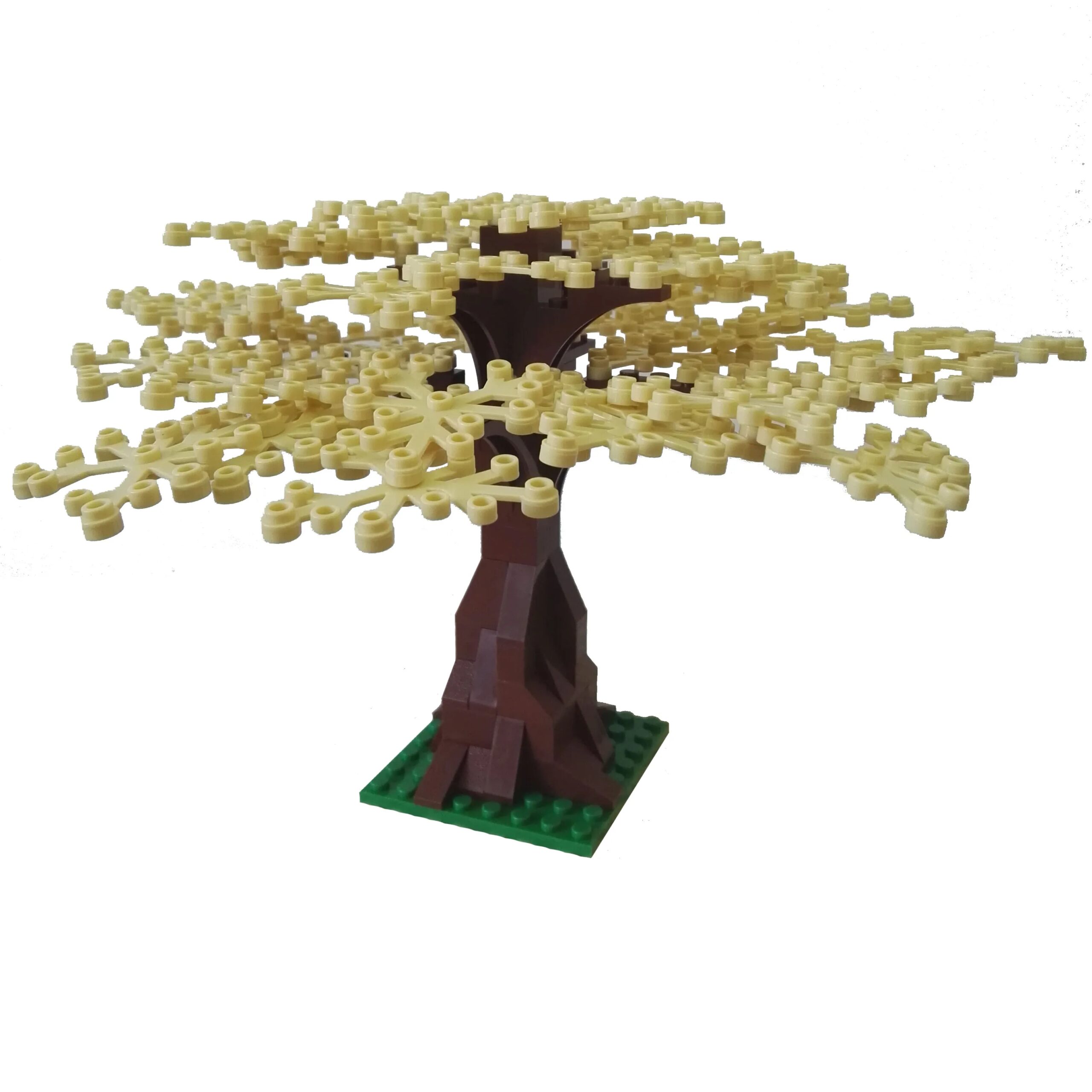 albero beige