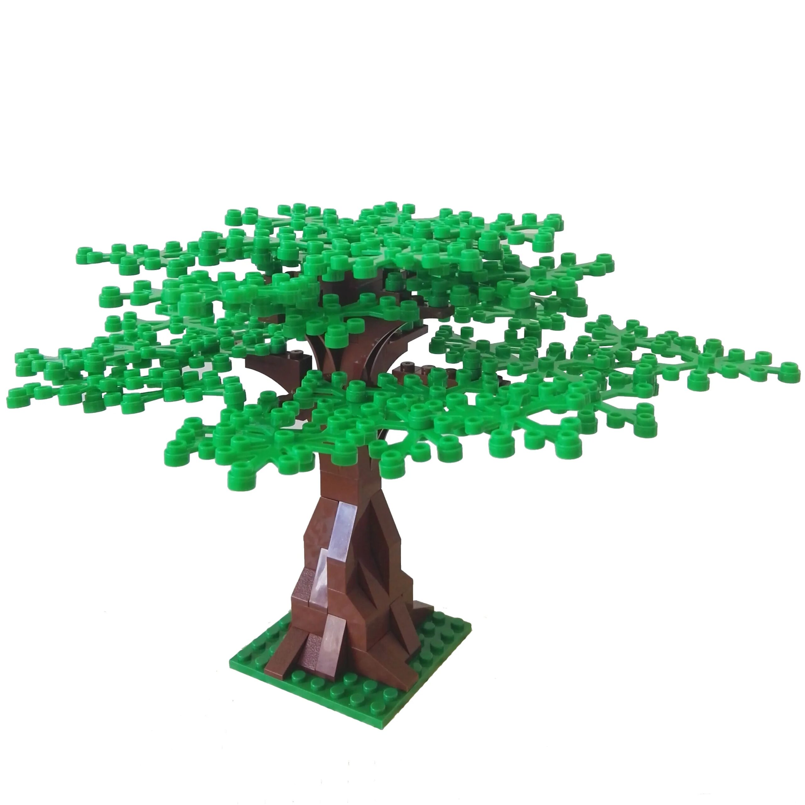 albero verde