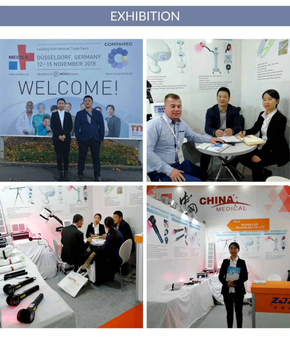 ZJKC Dispositivo professionale per terapia laser fredda per fisioterapia antidolore per lesioni alle ferite di cani e gatti da compagnia 650nm 808nm Palmare domestico