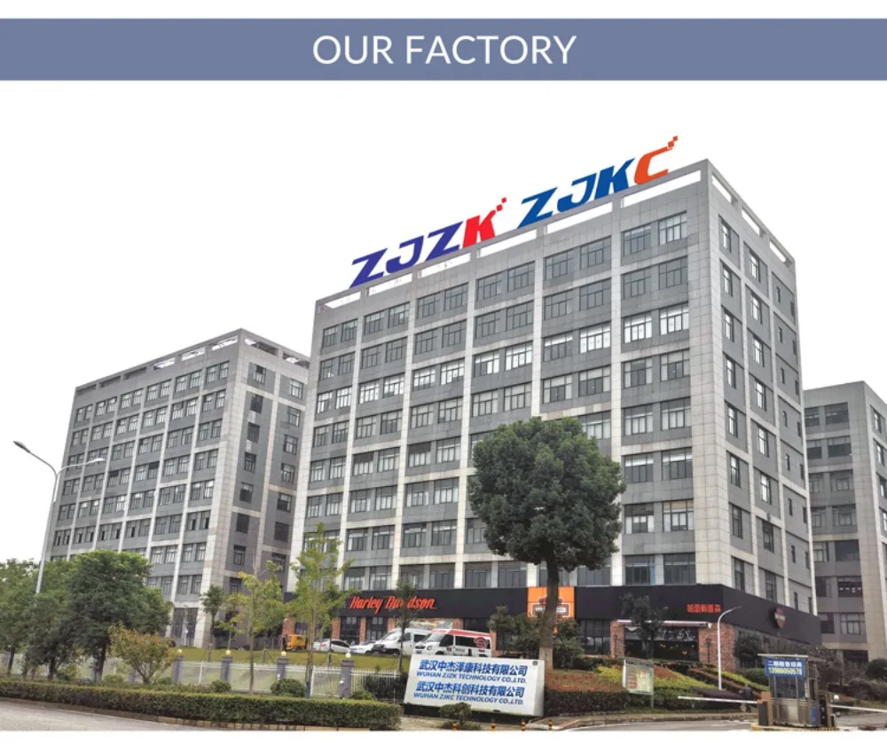 ZJKC Dispositivo professionale per terapia laser fredda per fisioterapia antidolore per lesioni alle ferite di cani e gatti da compagnia 650nm 808nm Palmare domestico