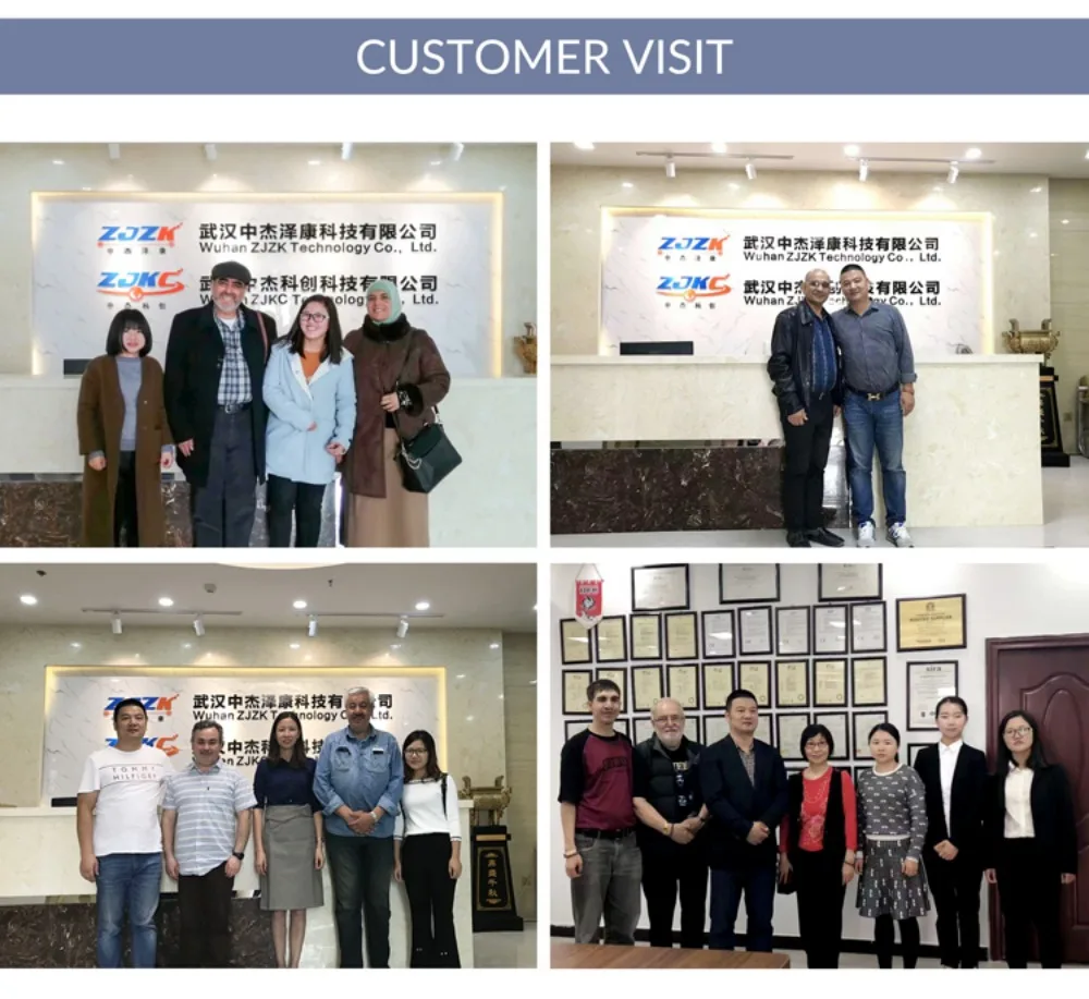 ZJKC Dispositivo professionale per terapia laser fredda per fisioterapia antidolore per lesioni alle ferite di cani e gatti da compagnia 650nm 808nm Palmare domestico