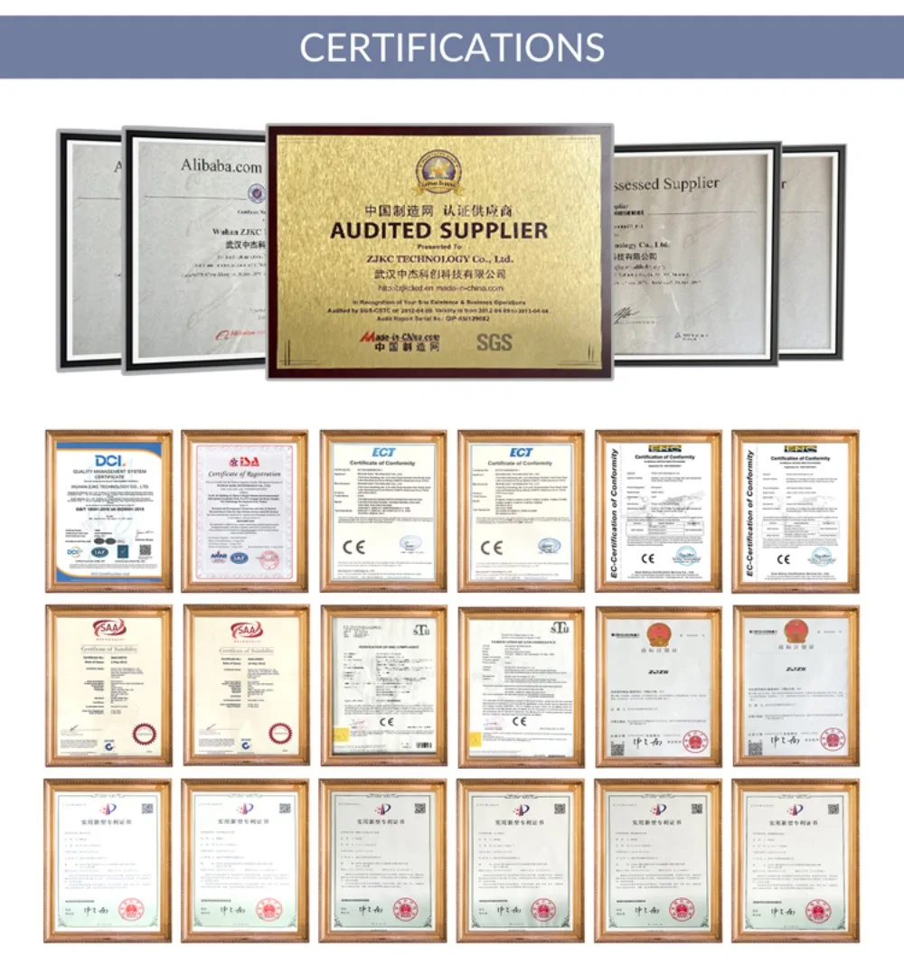 ZJKC Dispositivo professionale per terapia laser fredda per fisioterapia antidolore per lesioni alle ferite di cani e gatti da compagnia 650nm 808nm Palmare domestico