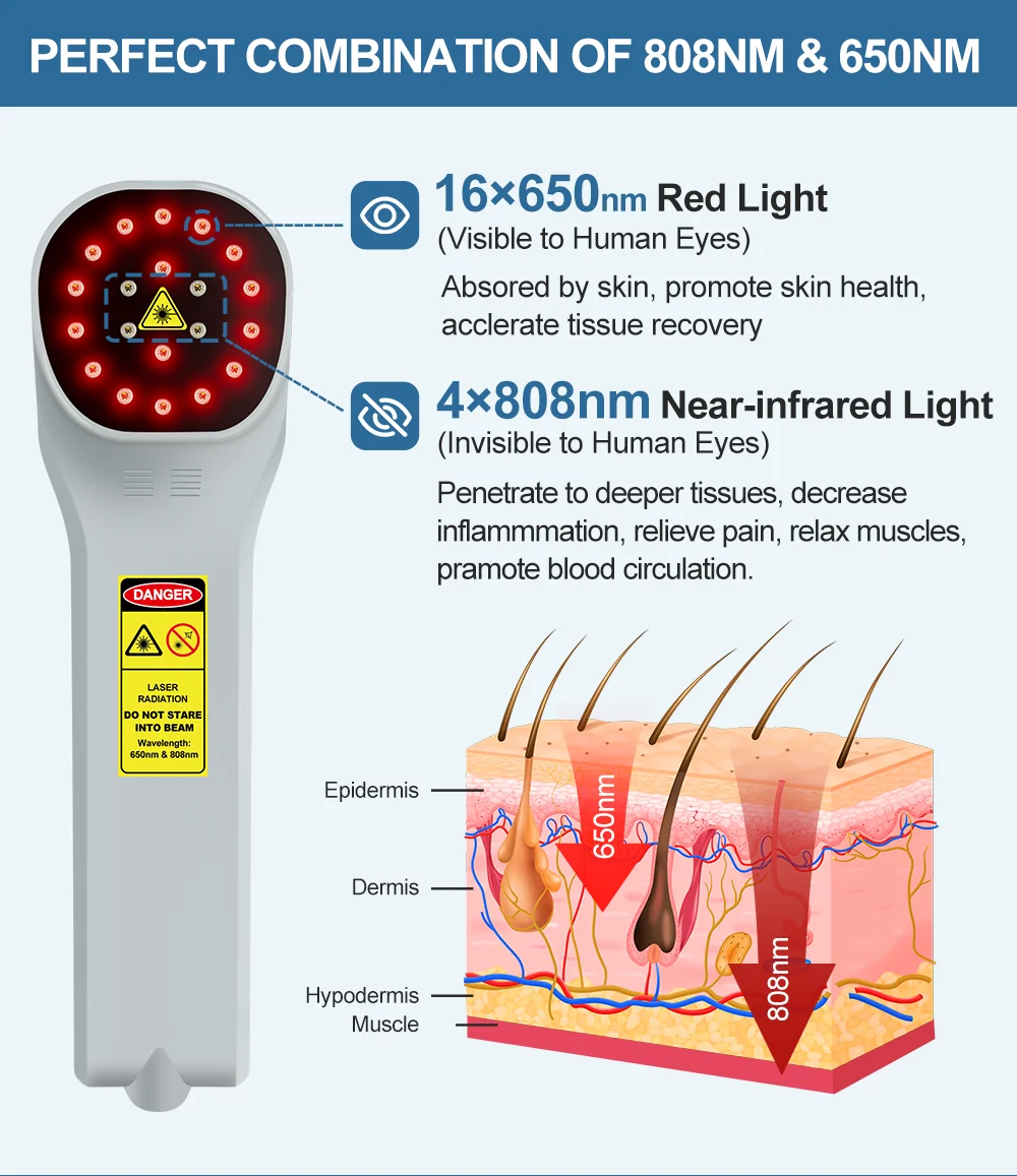 ZJKC Dispositivo professionale per terapia laser fredda per fisioterapia antidolore per lesioni alle ferite di cani e gatti da compagnia 650nm 808nm Palmare domestico