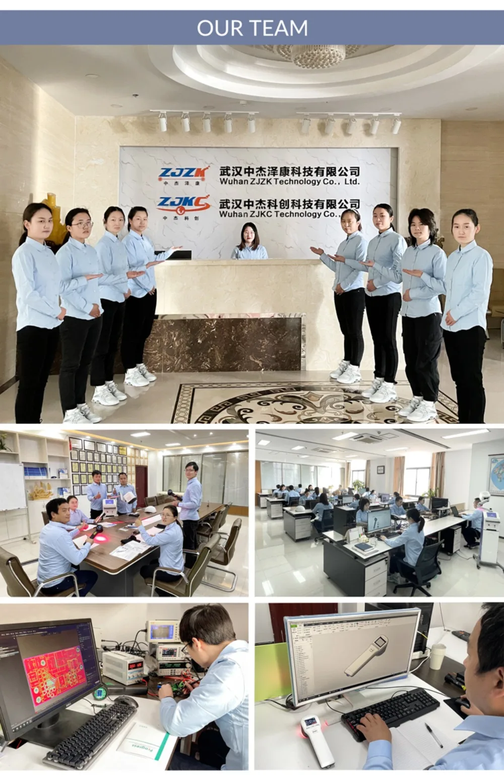 ZJKC Dispositivo professionale per terapia laser fredda per fisioterapia antidolore per lesioni alle ferite di cani e gatti da compagnia 650nm 808nm Palmare domestico