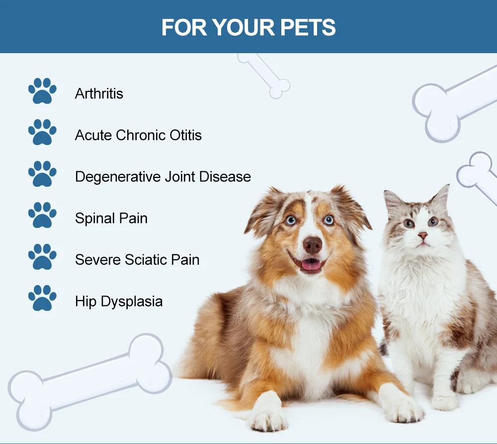 ZJKC Dispositivo professionale per terapia laser fredda per fisioterapia antidolore per lesioni alle ferite di cani e gatti da compagnia 650nm 808nm Palmare domestico