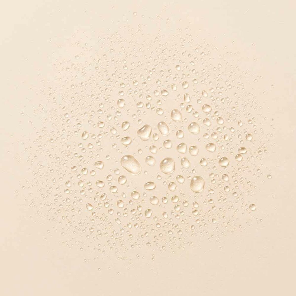 S05131330_1