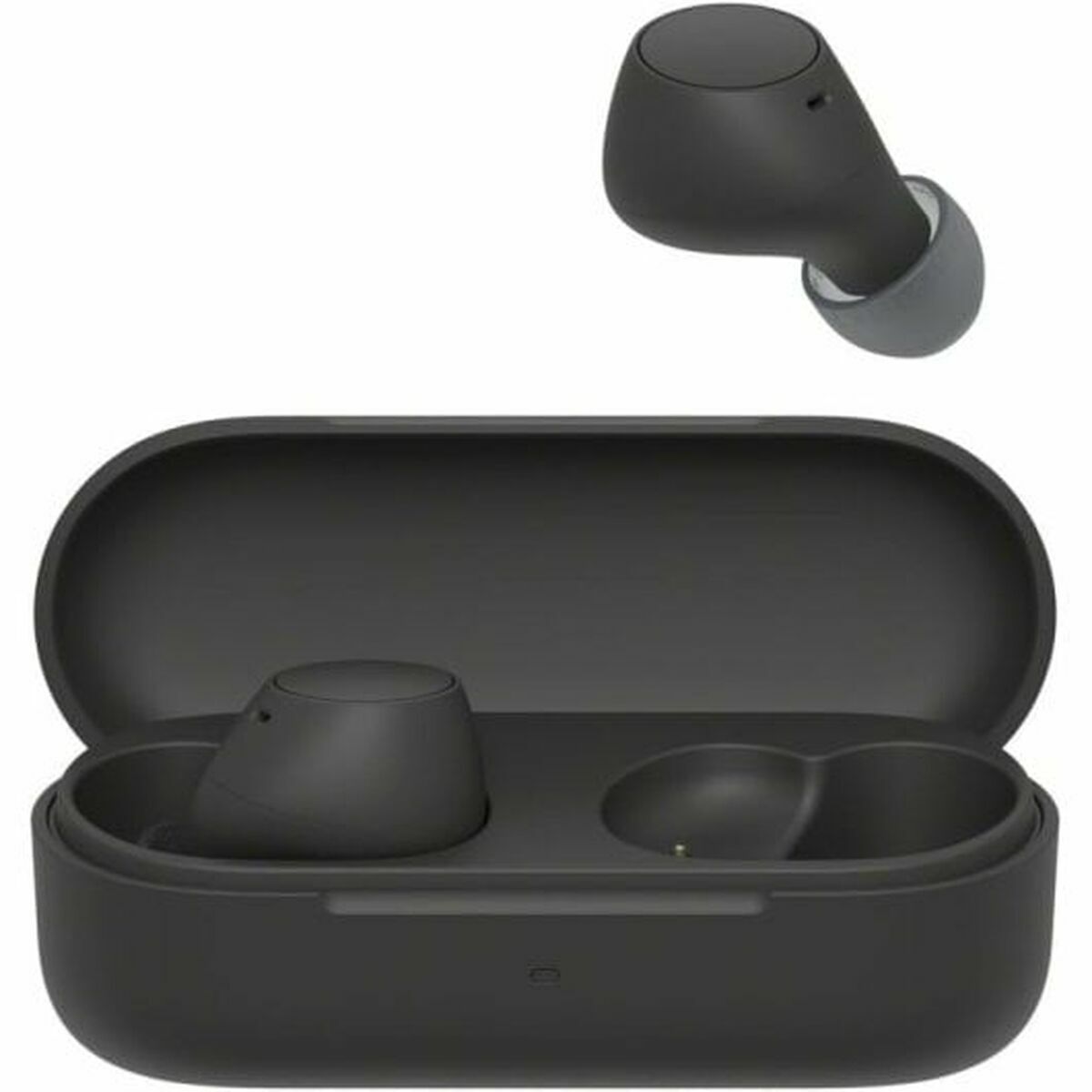 M0806079_0