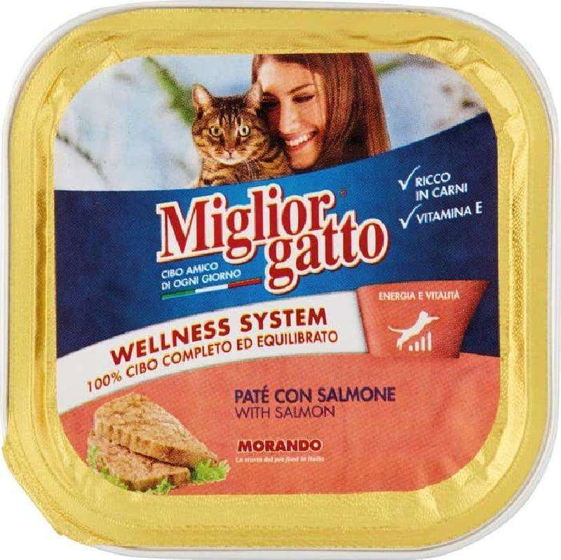 MIGLIORGATTO PATE' SALMONE GR 100