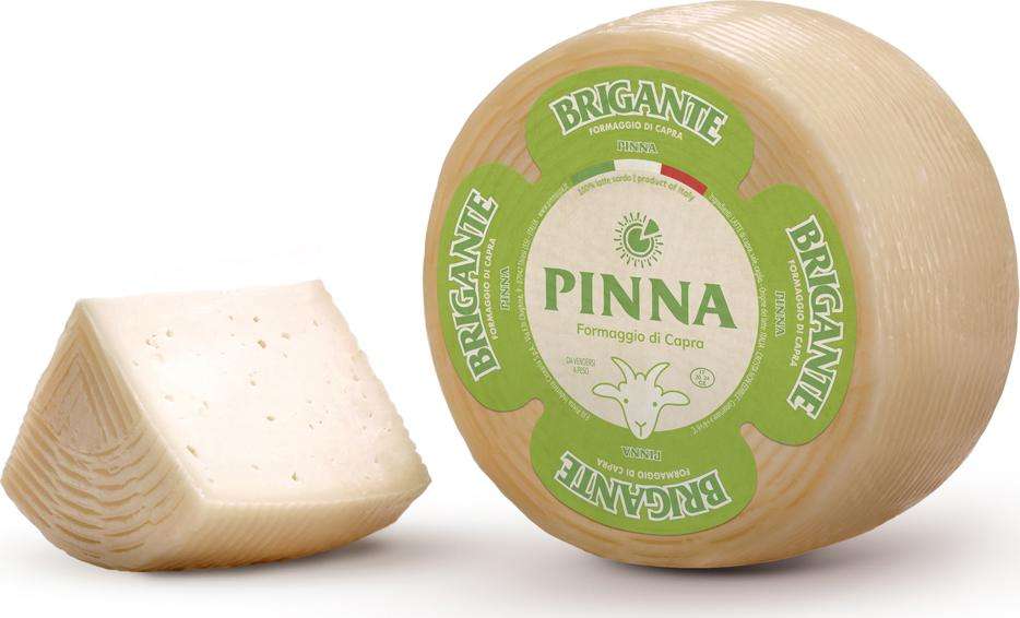 PINNA BRIGANTE DI CAPRA KG 2